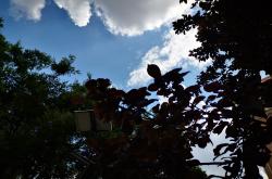 关于格拉齐亚斯赢得关键胜利，秋高气爽的信息